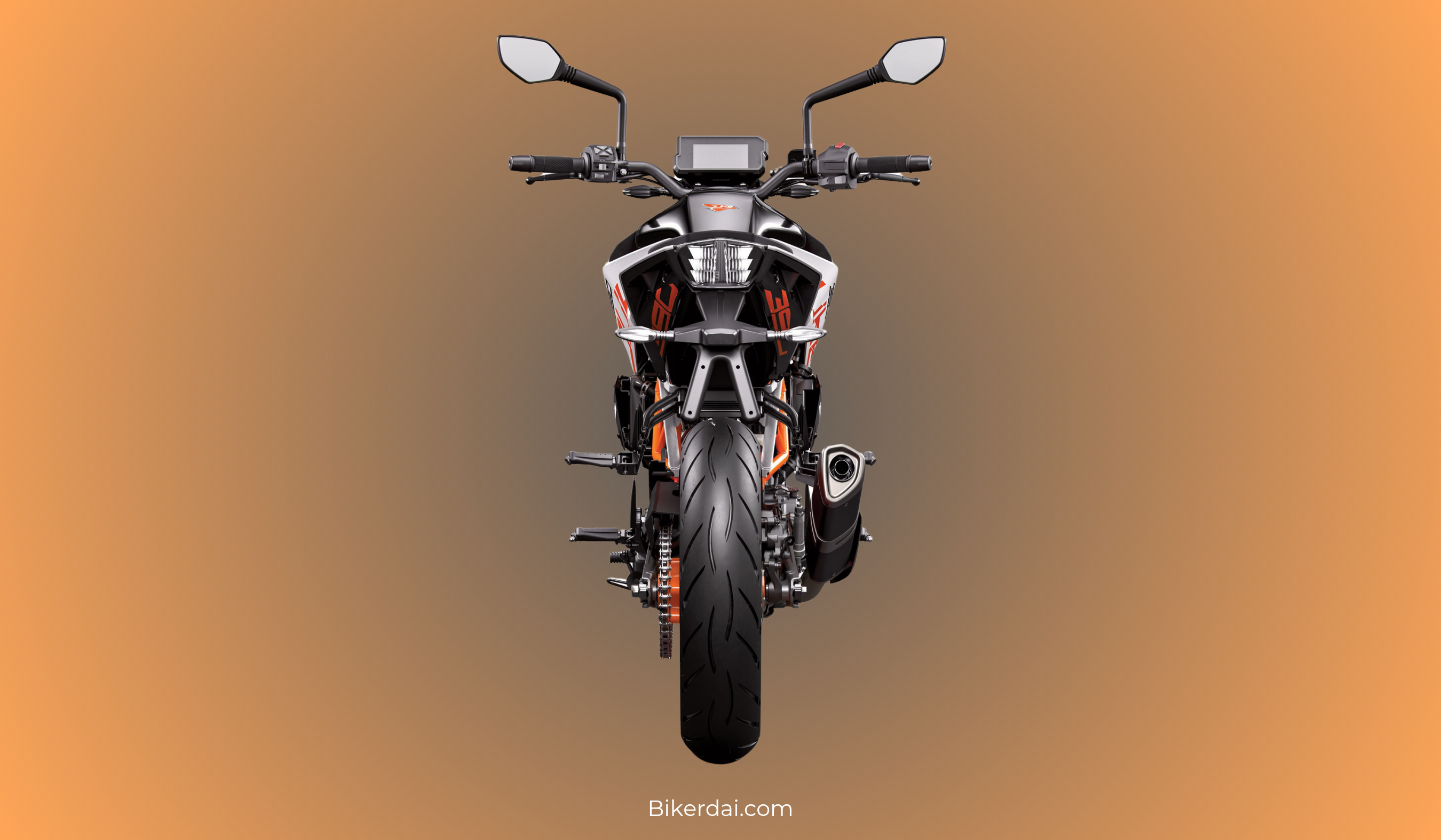 KTM DUKE 390 Back view